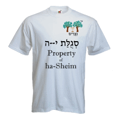 Property of ha-Sheim